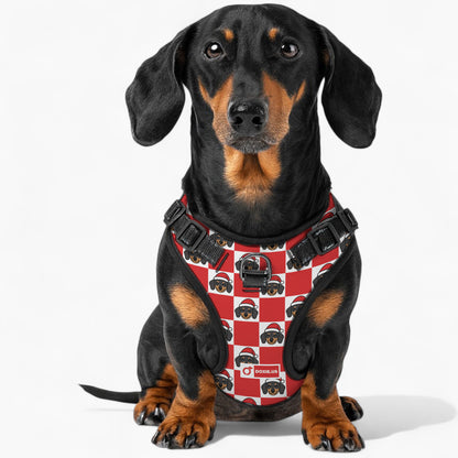 Nugget -  No-Pull Dachshund Dog Harness