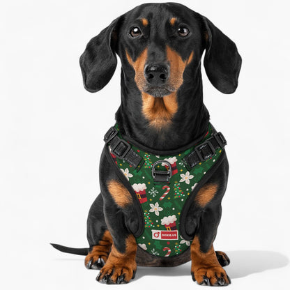 Birdie -  No-Pull Dachshund Dog Harness