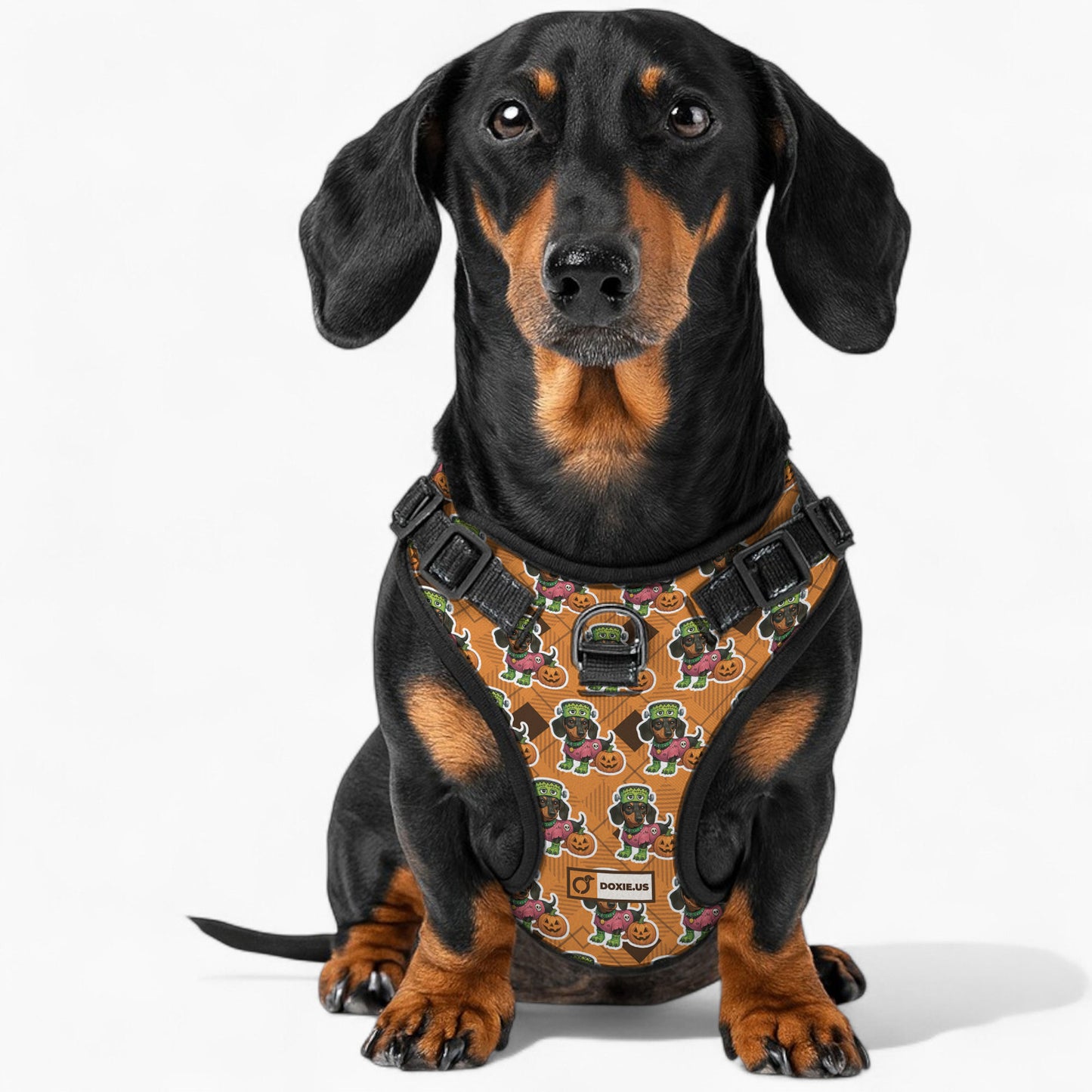 Willow -  No-Pull Dachshund Dog Harness