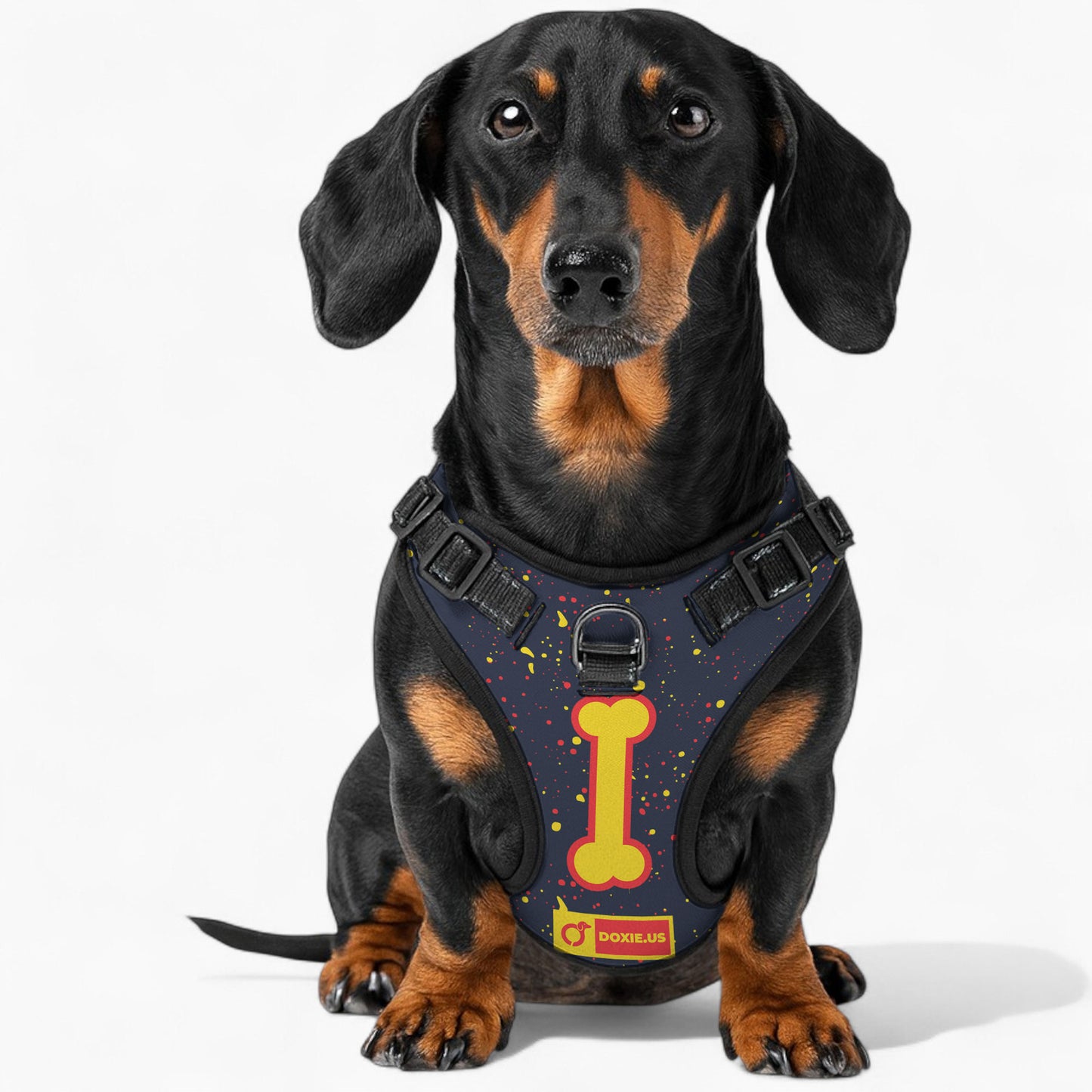 Treacle - Personalized No-Pull Dachshund Dog Harness