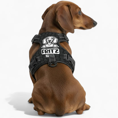 Hans -  Personalized No-Pull Dachshund Dog Harness
