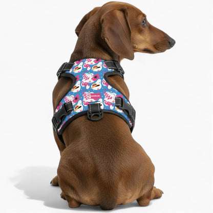Pretzel -  No-Pull Dachshund Dog Harness