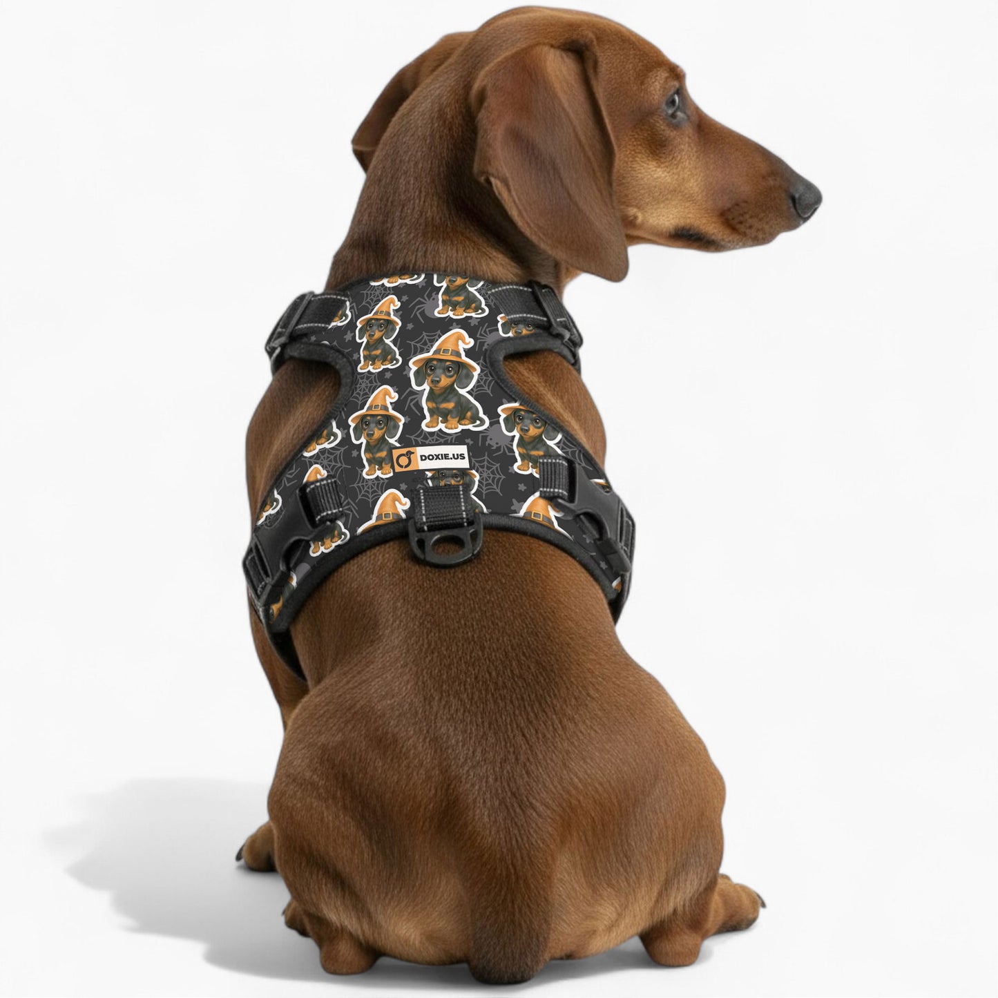 Roxy -  No-Pull Dachshund Dog Harness