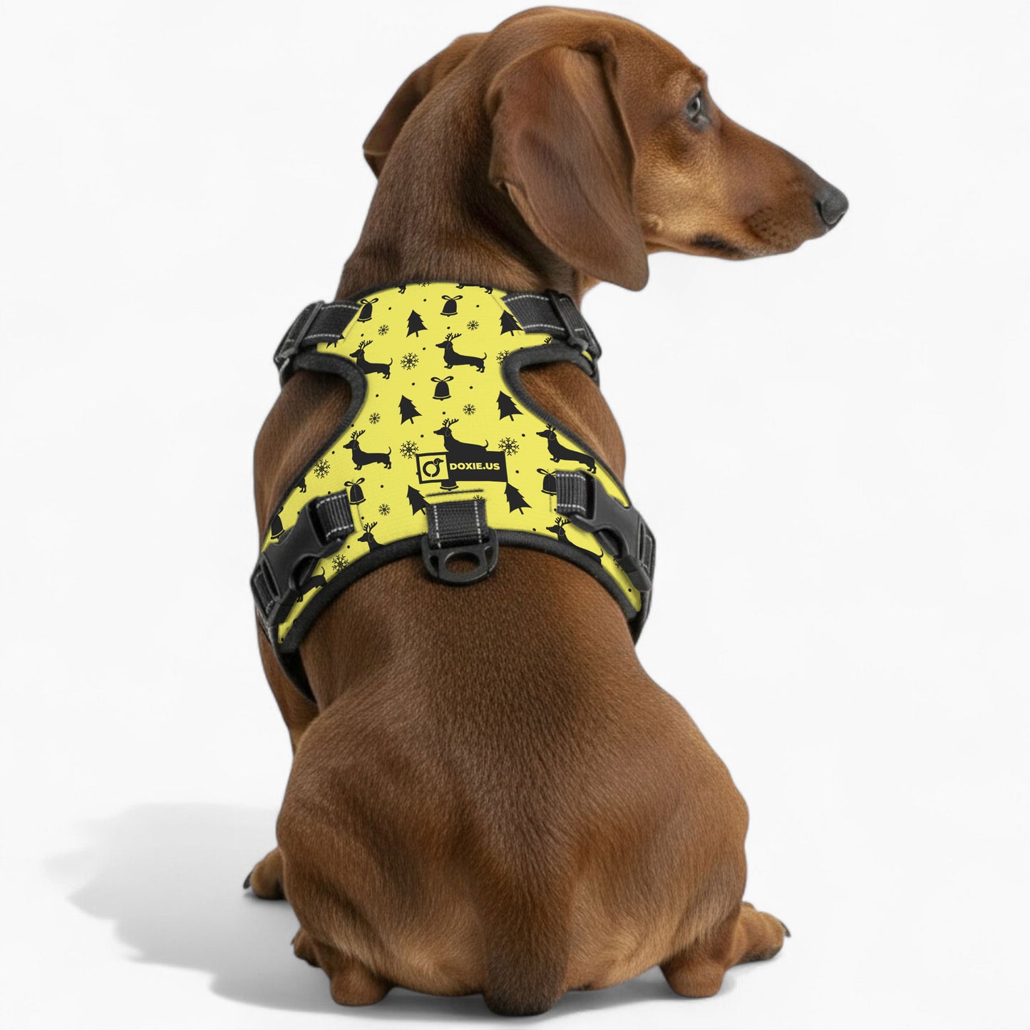 Gilbert -  No-Pull Dachshund Dog Harness