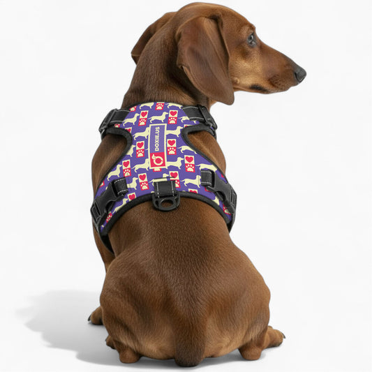 Bella -  No-Pull Dachshund Dog Harness