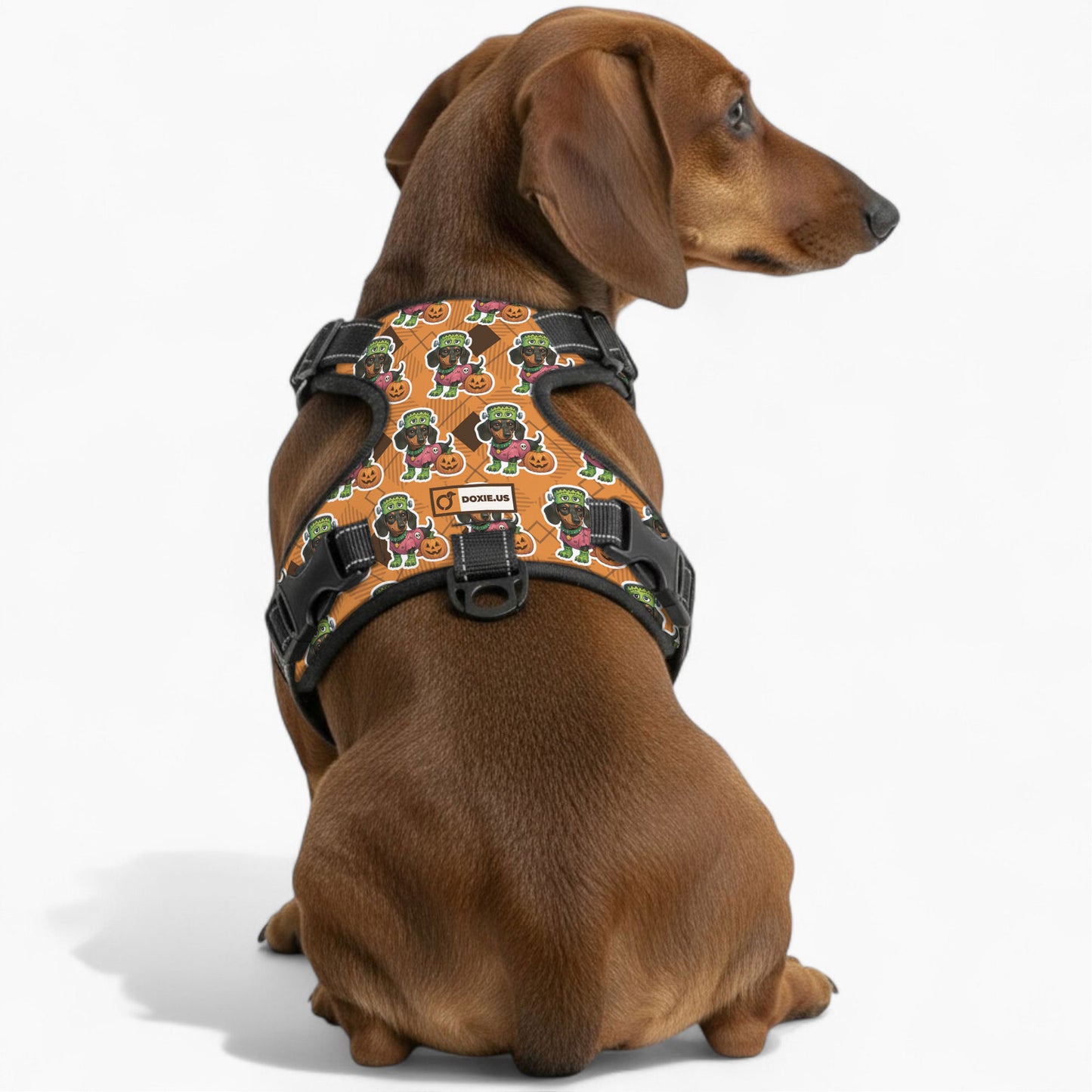 Willow -  No-Pull Dachshund Dog Harness