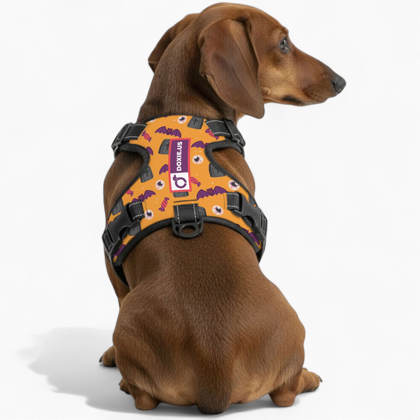 Maggie -  No-Pull Dachshund Dog Harness