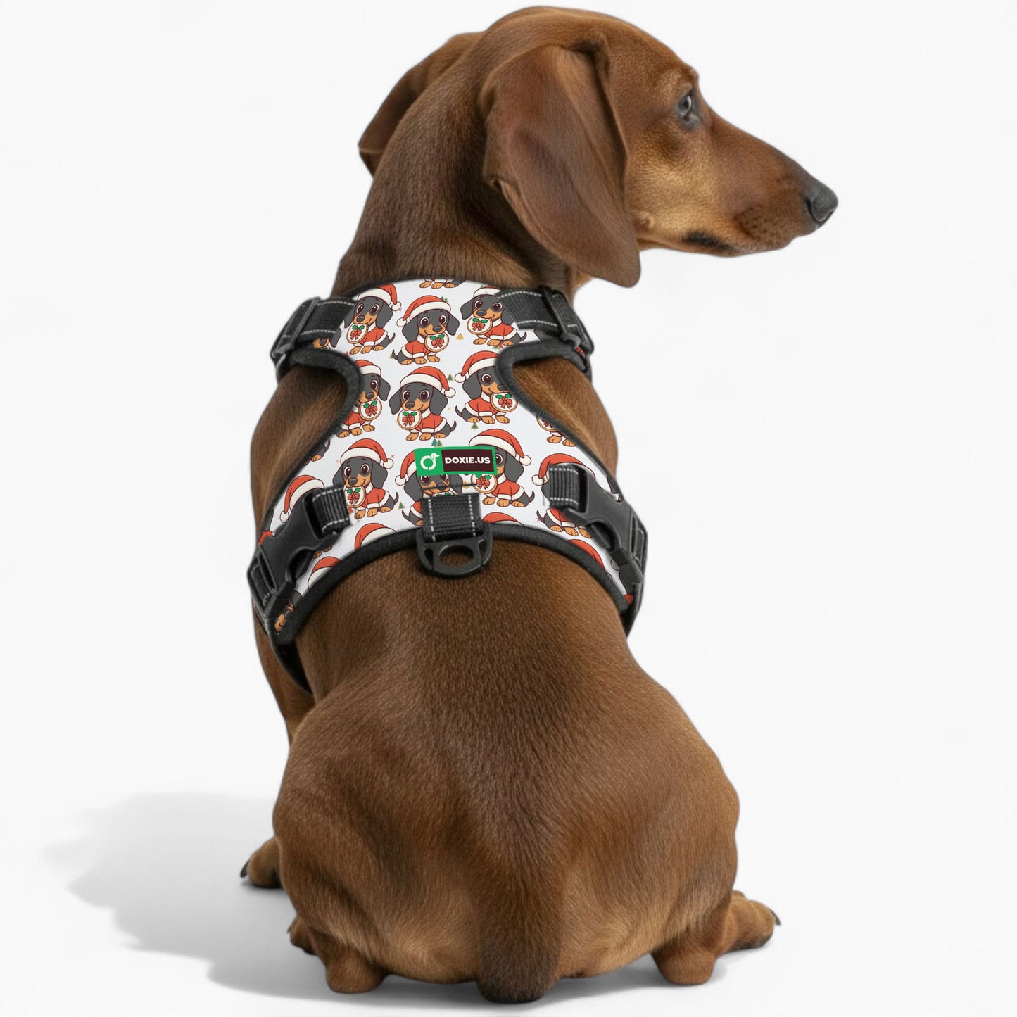 Kevin -  No-Pull Dachshund Dog Harness