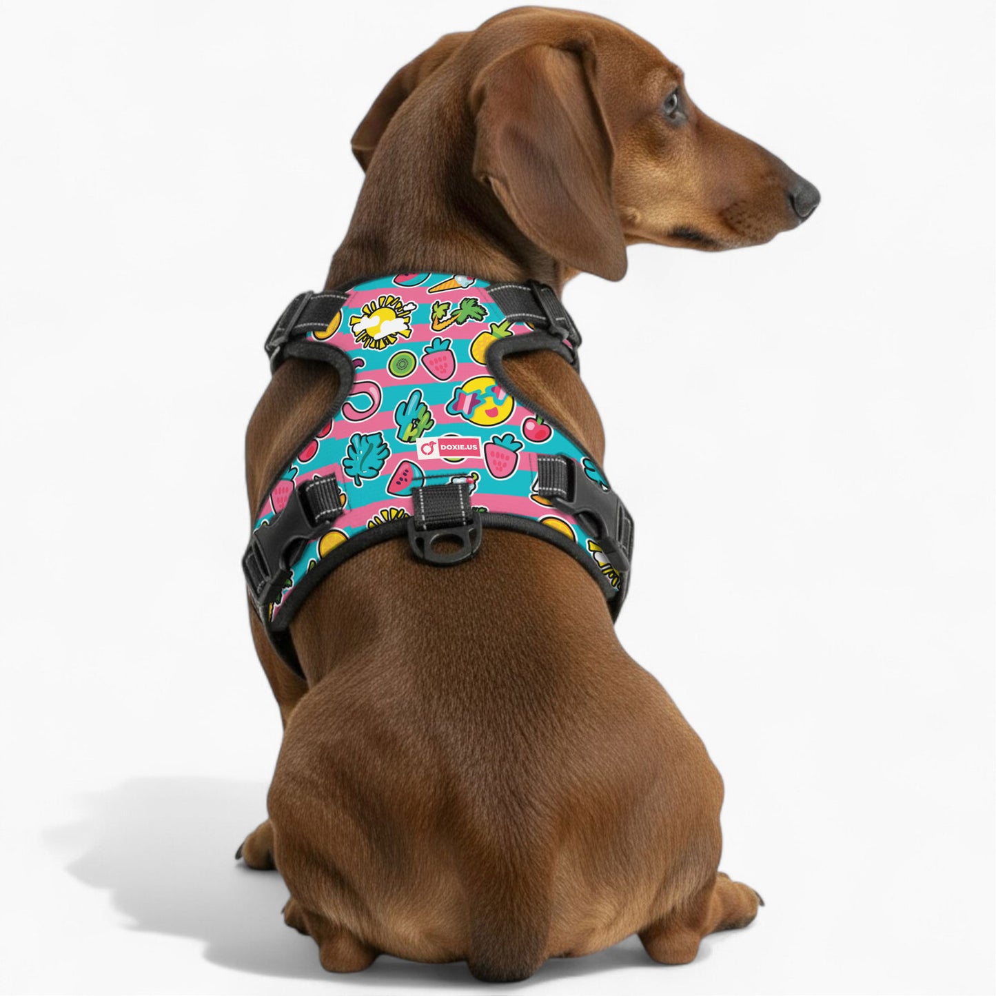 Franz -  No-Pull Dachshund Dog Harness