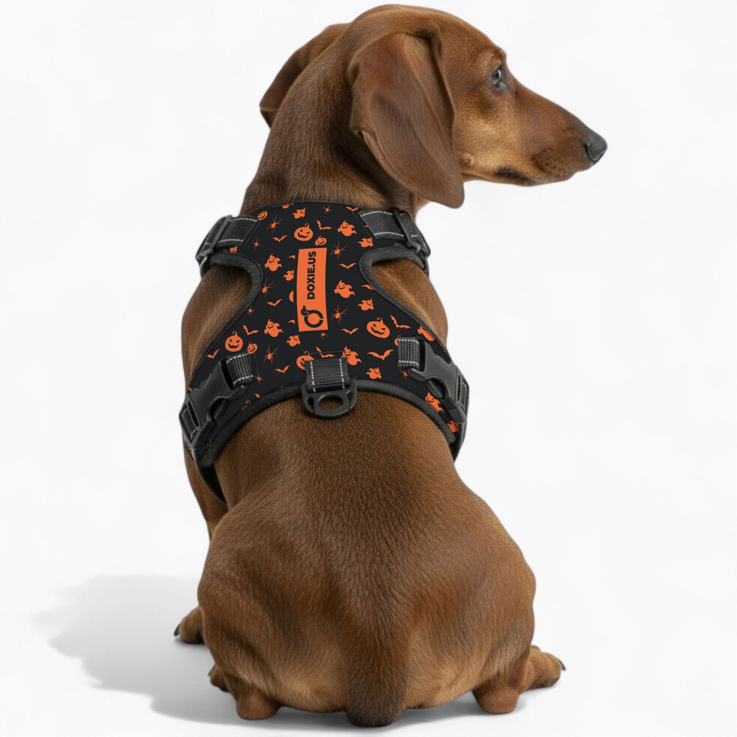 Maggie -  No-Pull Dachshund Dog Harness