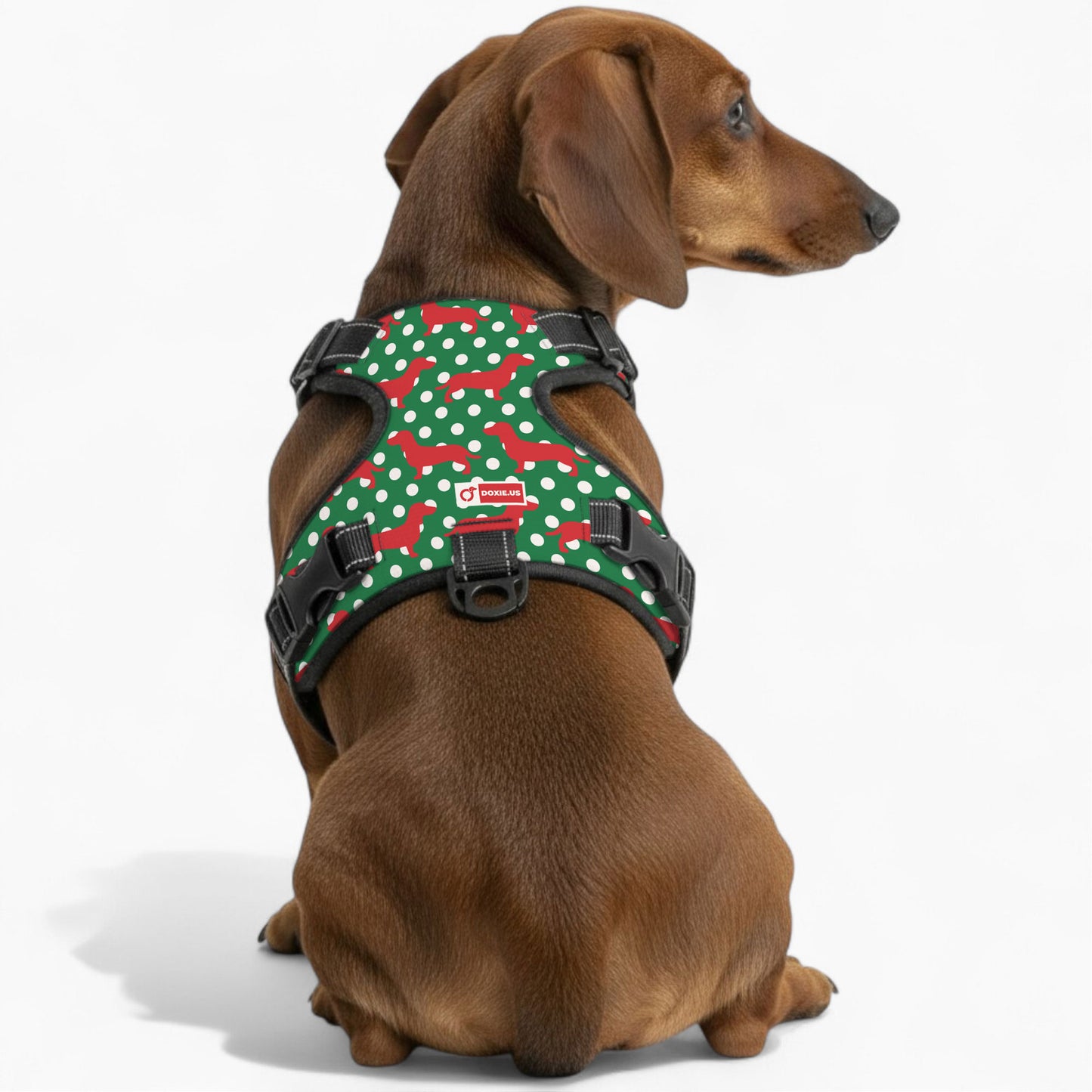 Carly -  No-Pull Dachshund Dog Harness