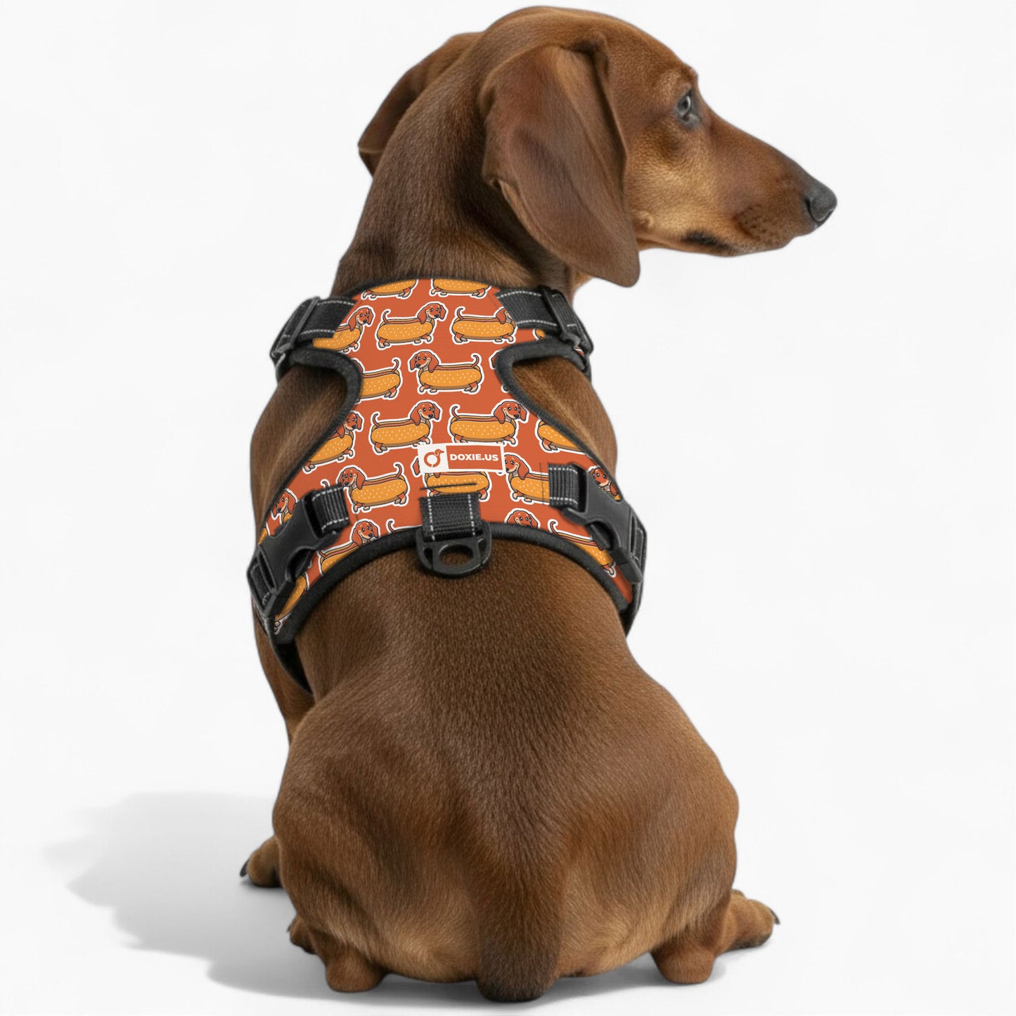 Monty -  No-Pull Dachshund Dog Harness