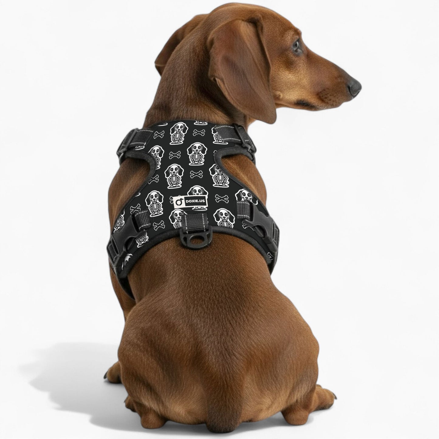 Ellie -  No-Pull Dachshund Dog Harness