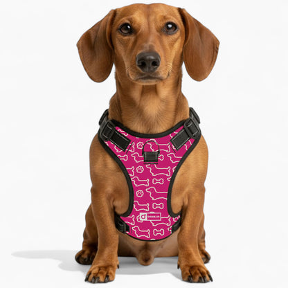 Rusty -  No-Pull Dachshund Dog Harness