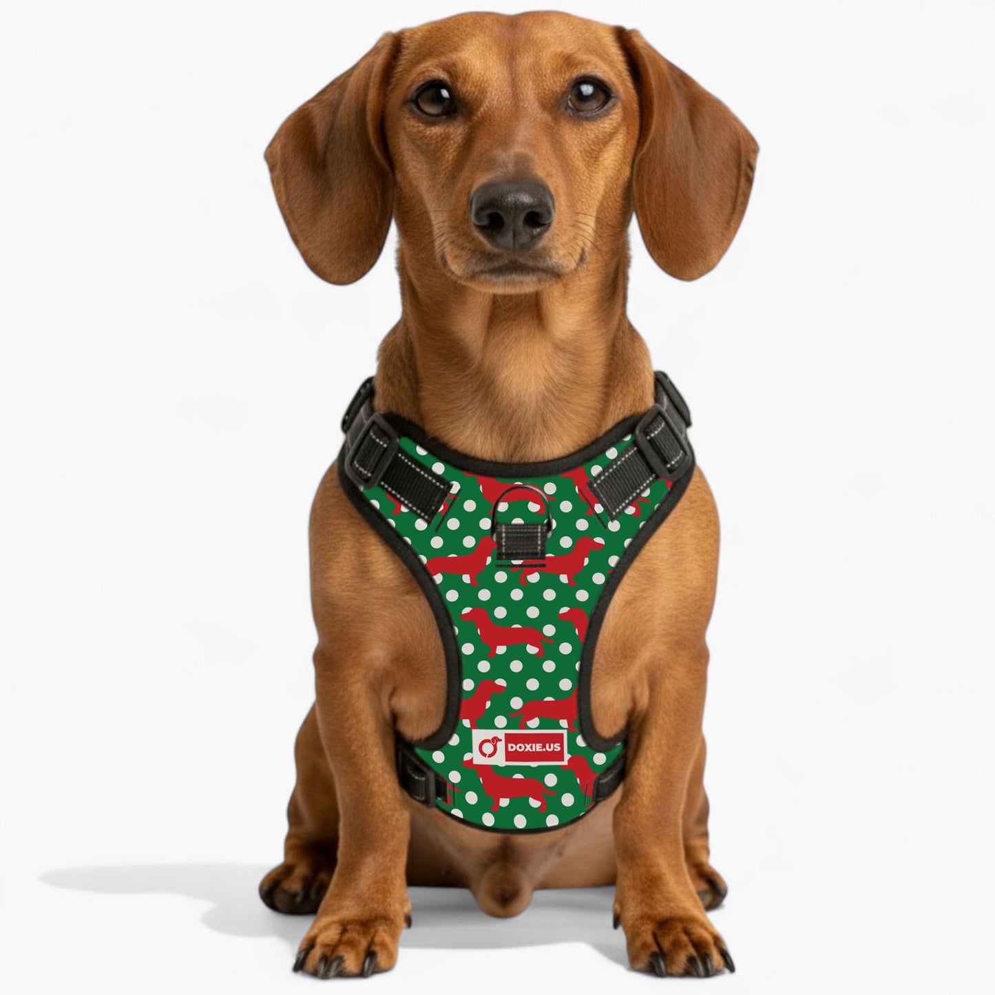 Carly -  No-Pull Dachshund Dog Harness