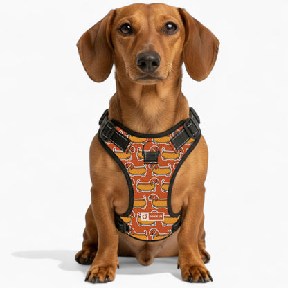 Monty -  No-Pull Dachshund Dog Harness