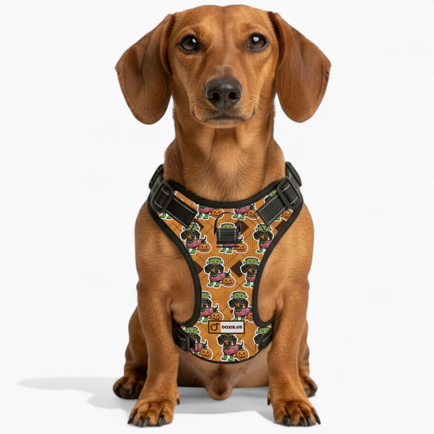 Willow -  No-Pull Dachshund Dog Harness
