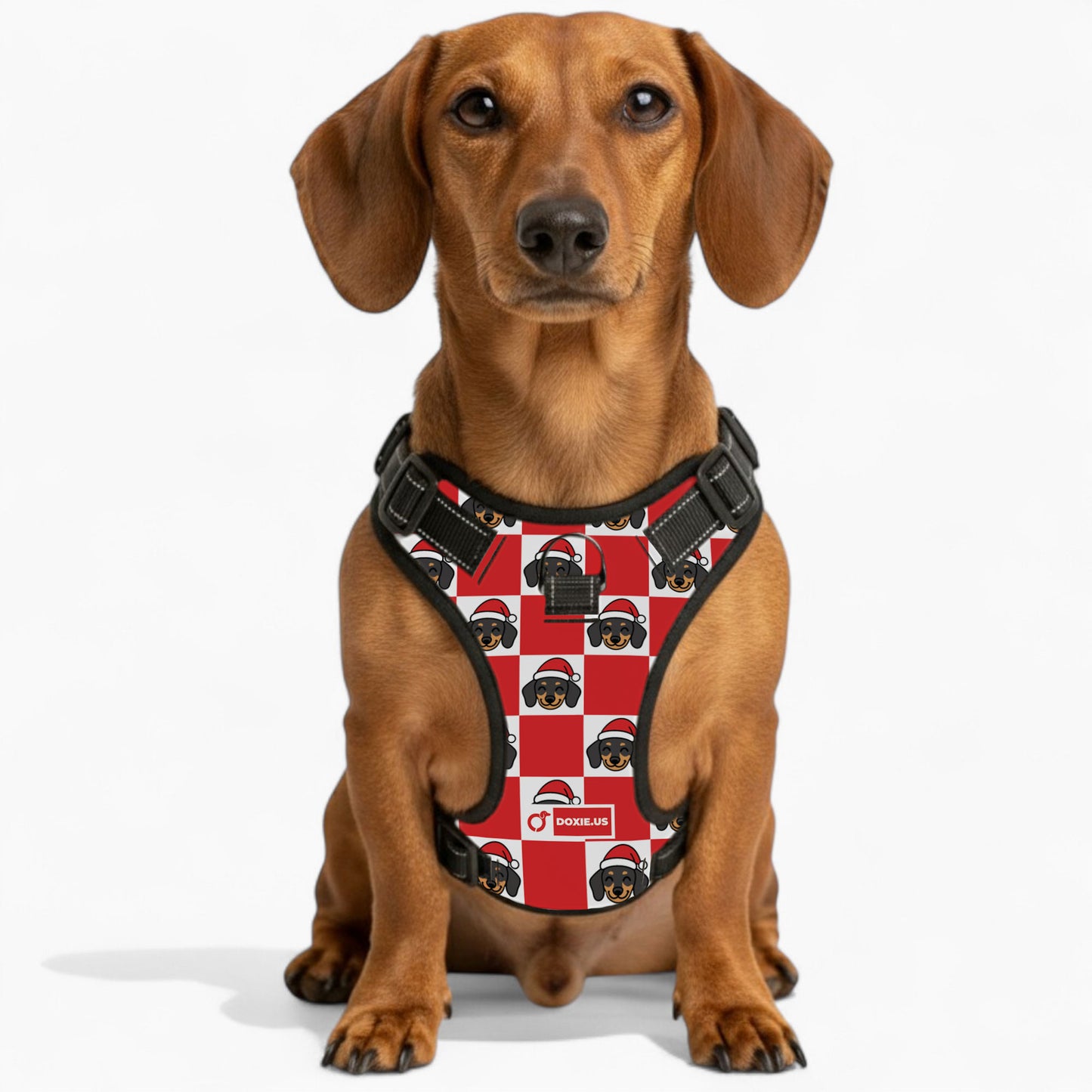 Nugget -  No-Pull Dachshund Dog Harness
