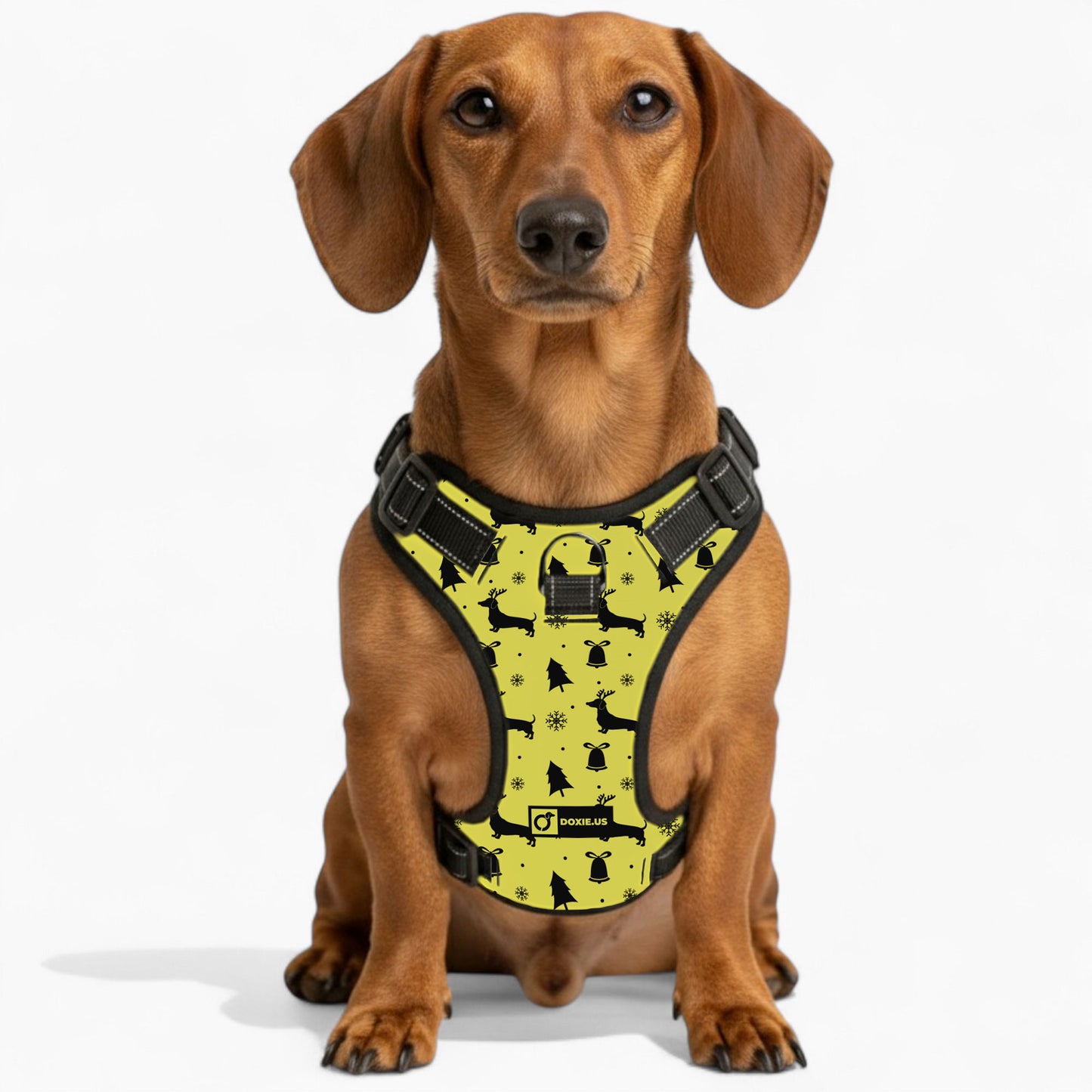 Gilbert -  No-Pull Dachshund Dog Harness