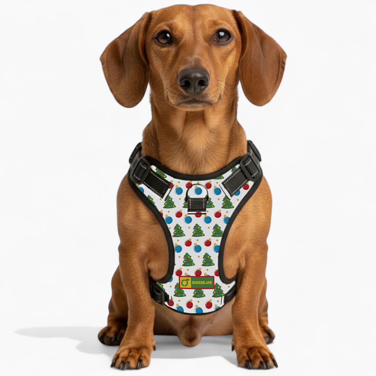 Martha -  No-Pull Dachshund Dog Harness