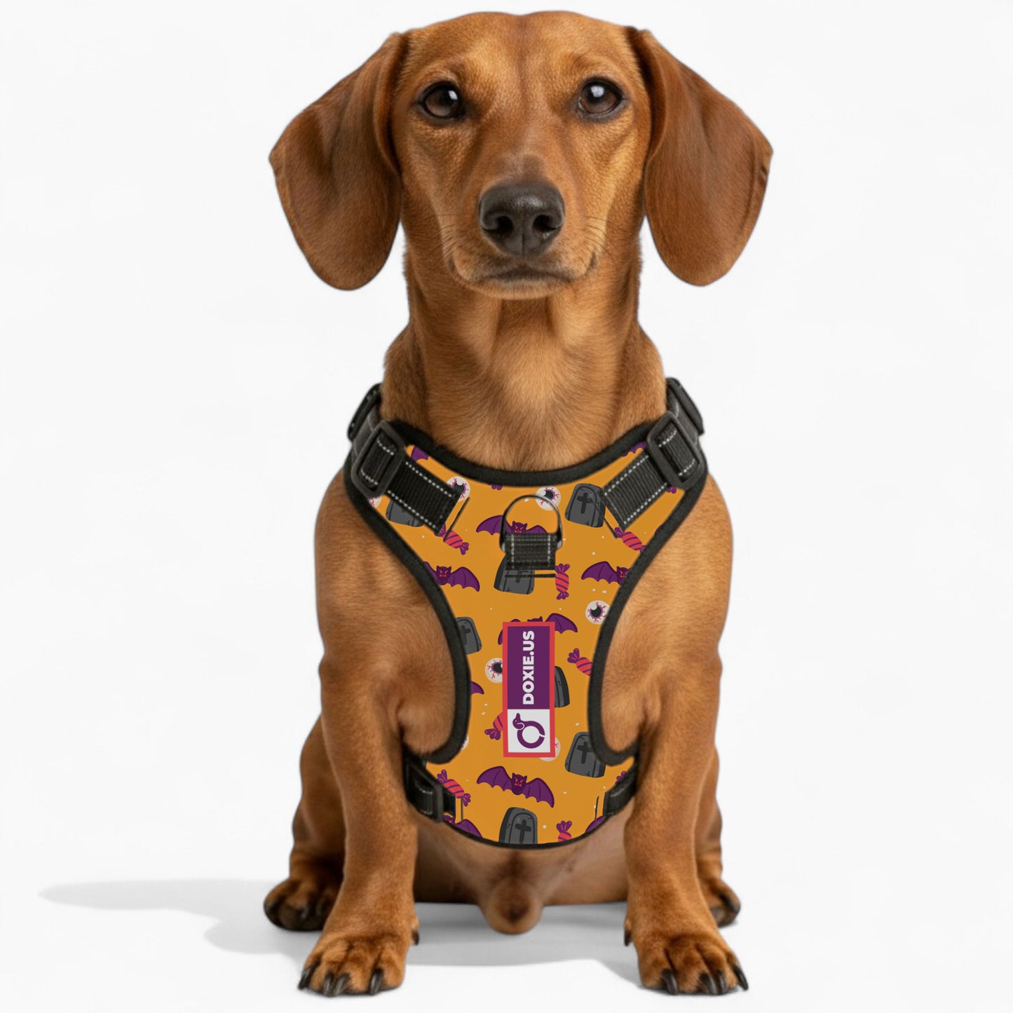 Maggie -  No-Pull Dachshund Dog Harness