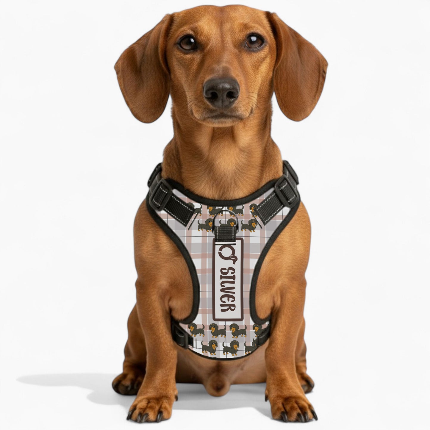Thistle -  Personalized No-Pull Dachshund Dog Harness