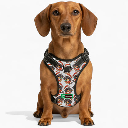 Kevin -  No-Pull Dachshund Dog Harness