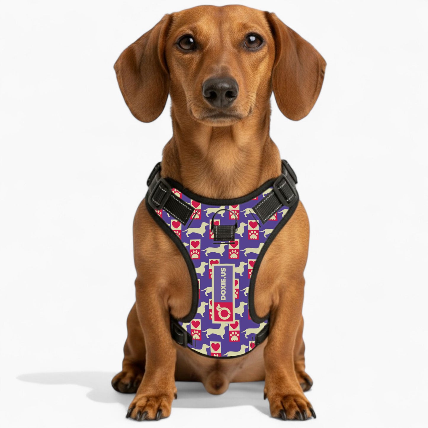 Bella -  No-Pull Dachshund Dog Harness