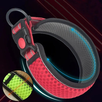 HexaPaw-Dachshund-Reflective-Collar.jpg