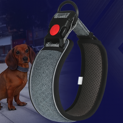 HexaPaw-Dachshund-Reflective-Collar.jpg