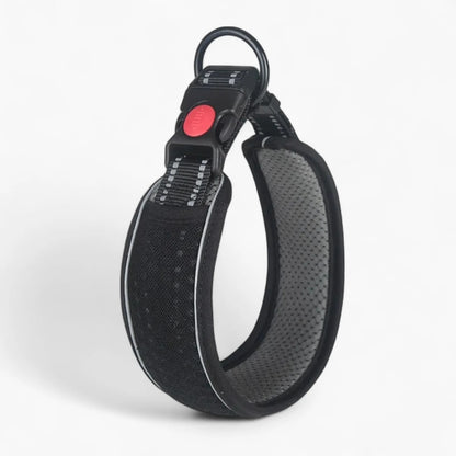 HexaPaw-Dachshund-Reflective-Collar.jpg