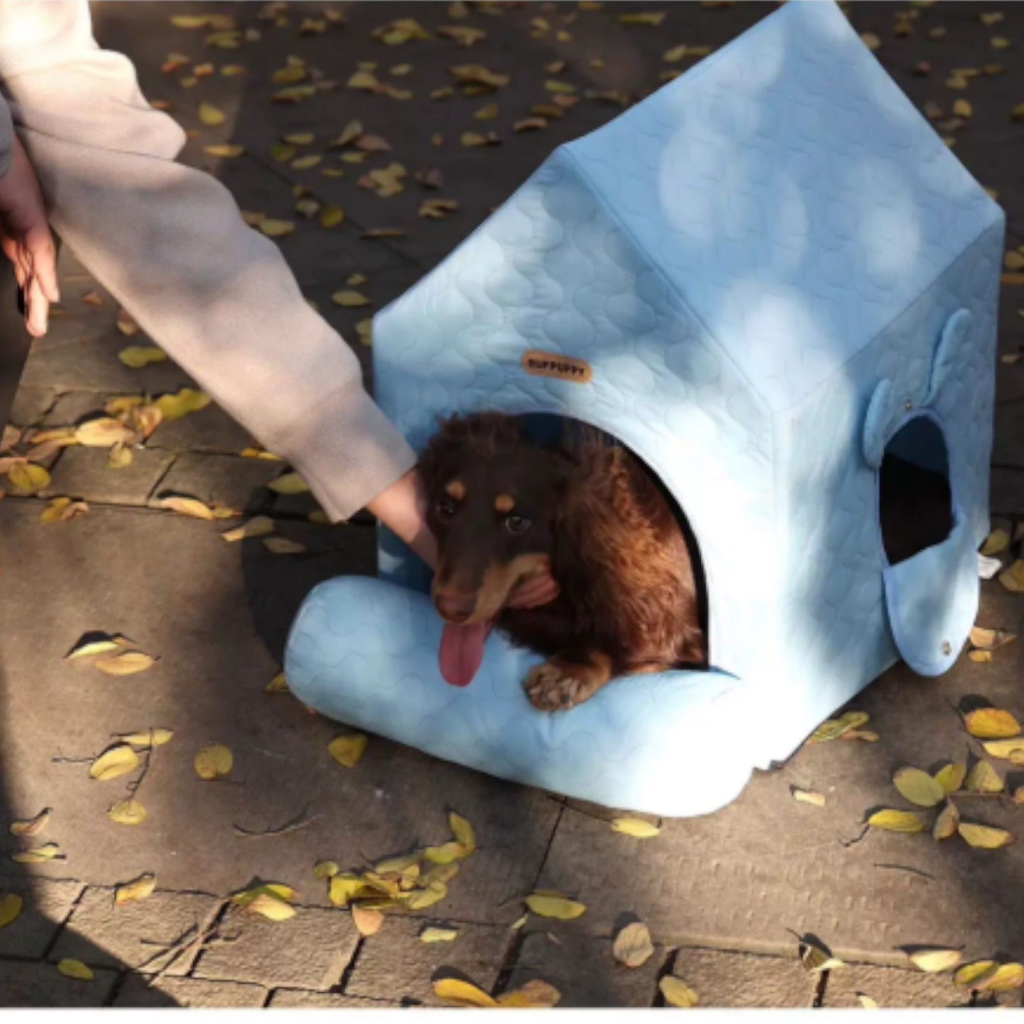 HouPup-Dachshund-Tent-House.jpg