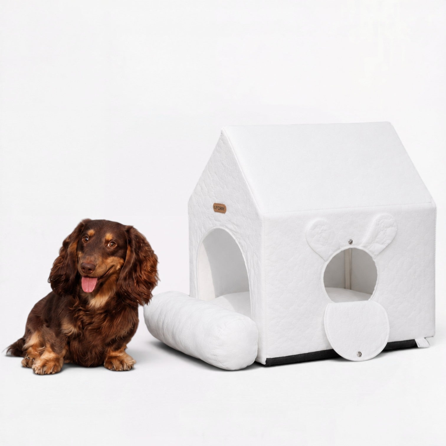 HouPup-Dachshund-Tent-House.jpg