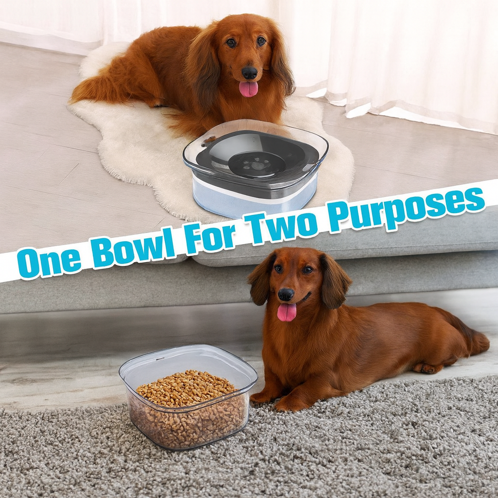 HydraPaws™-Dachshund-Water-Bowl.jpg