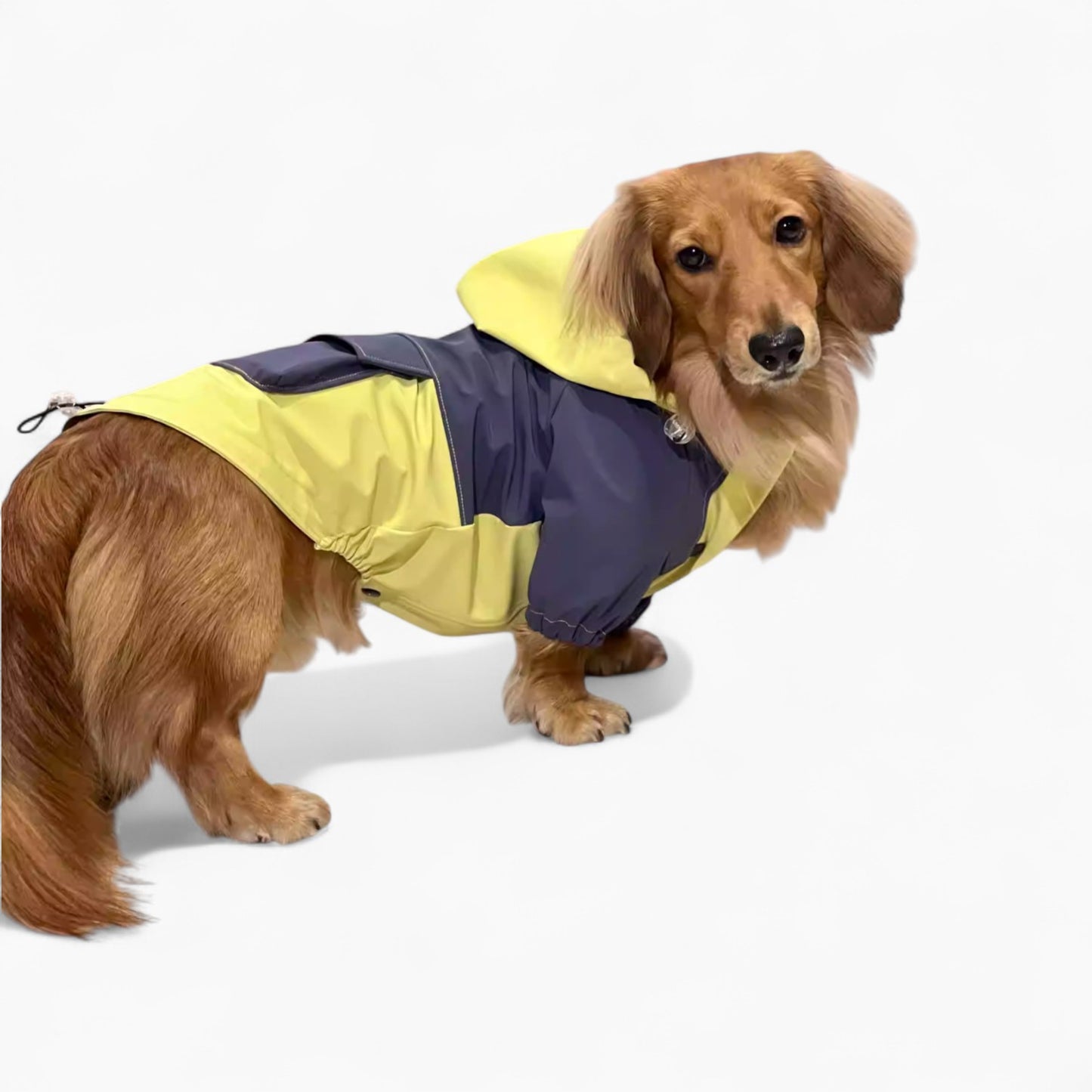 HydroDox-Dachshund-Rain-Suit.jpg