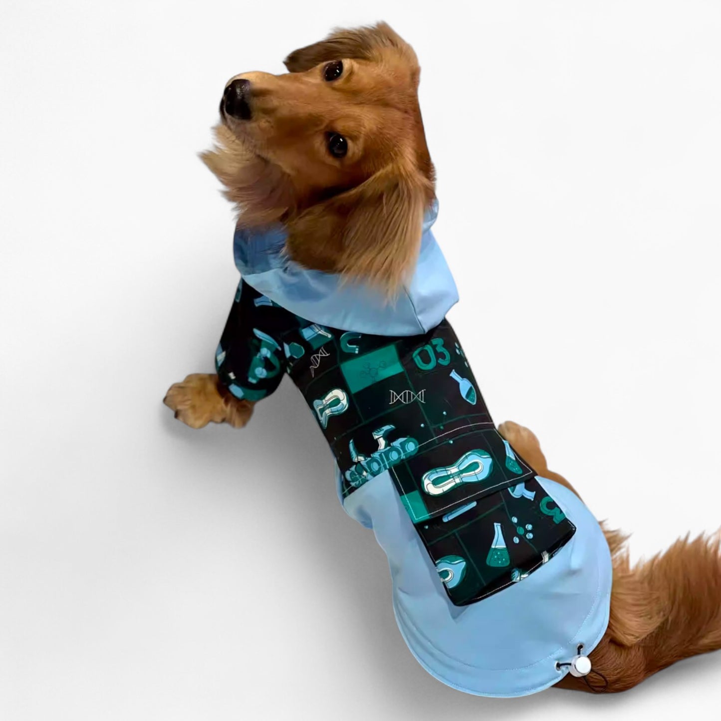 HydroDox-Dachshund-Rain-Suit.jpg