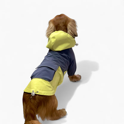 HydroDox-Dachshund-Rain-Suit.jpg