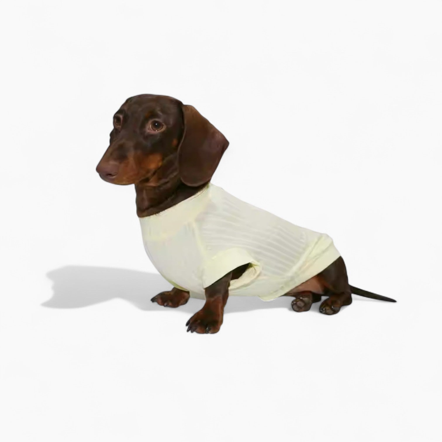 IcyTail-Dachshund-Ice-Silk-Shirt.jpg
