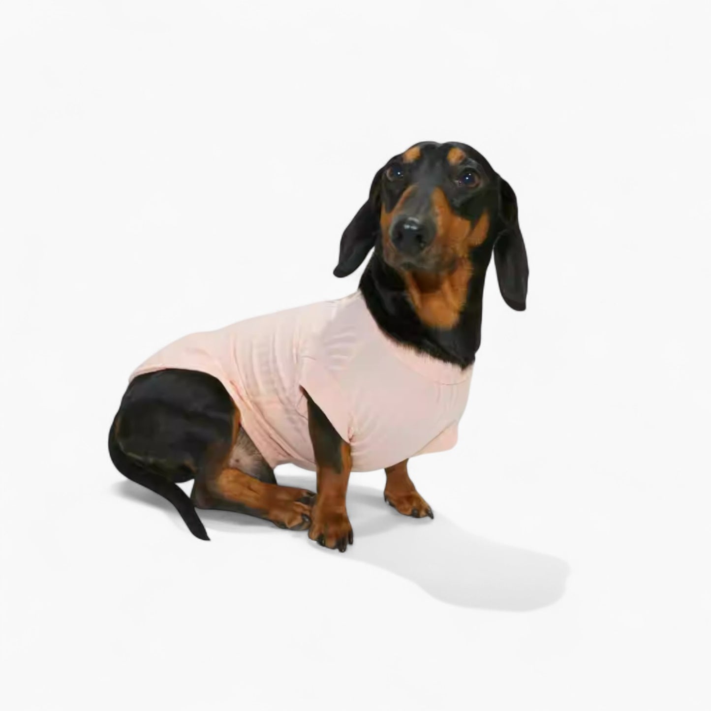 IcyTail-Dachshund-Ice-Silk-Shirt.jpg