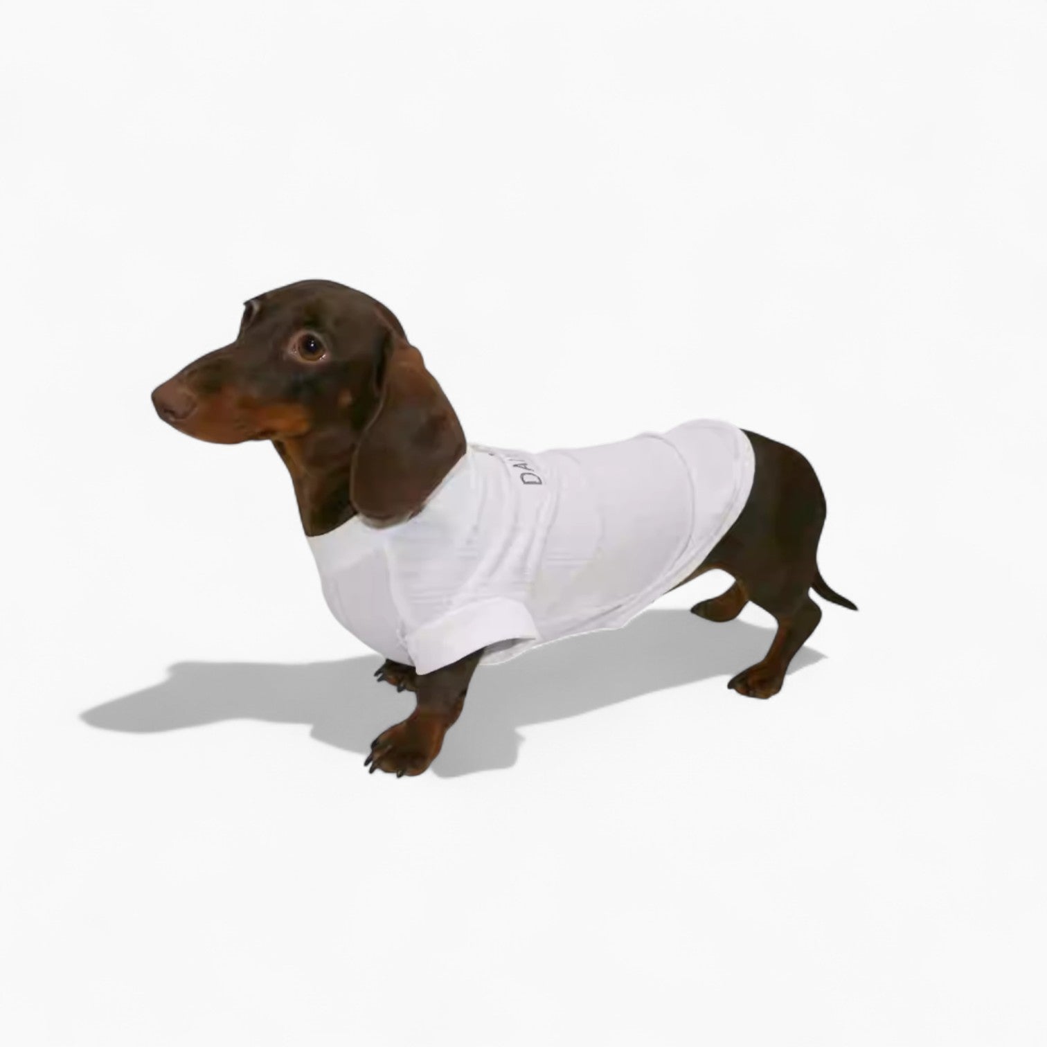 IcyTail-Dachshund-Ice-Silk-Shirt.jpg