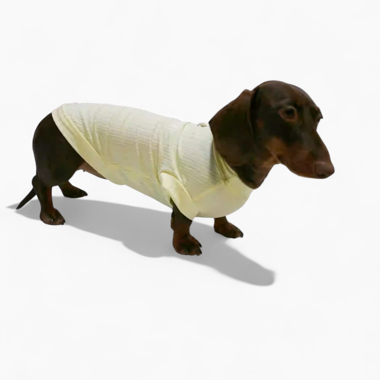 IcyTail-Dachshund-Ice-Silk-Shirt.jpg