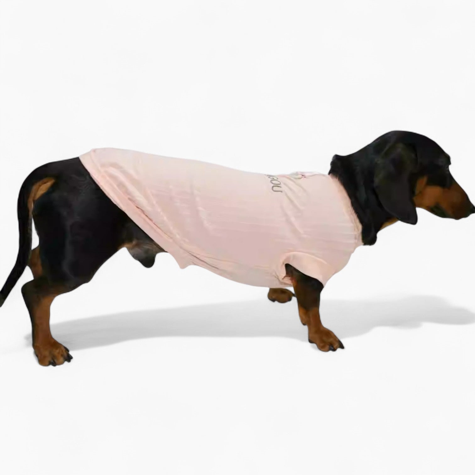 IcyTail-Dachshund-Ice-Silk-Shirt.jpg