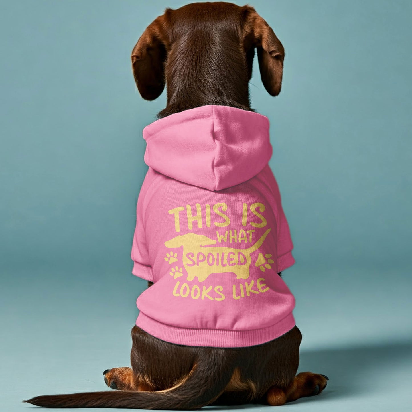 Spoiled - Personalized Dachshund Hoodies with Funny Quotes – Stylish, Cozy, and Premium 100% Cotton