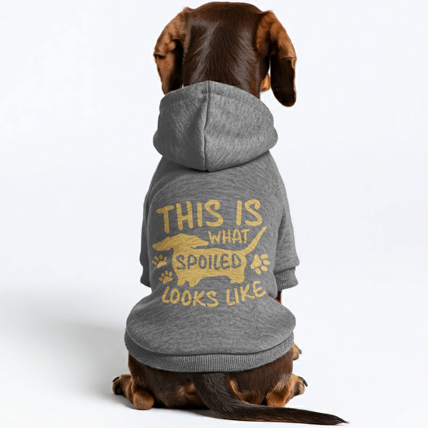 Spoiled - Personalized Dachshund Hoodies with Funny Quotes – Stylish, Cozy, and Premium 100% Cotton