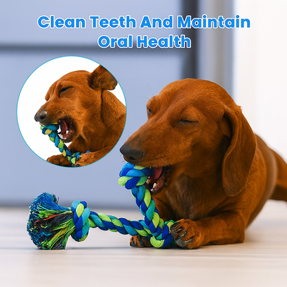 KnotPaw-Dachshund-Rope-Chew-Toy.jpg