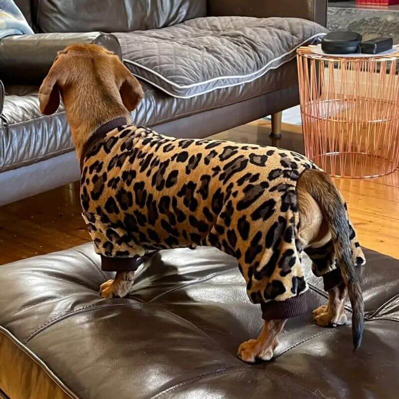 Dachshund-Leopard-Pajama-Soft-and-Cozy-Doxie-Sleepwear-www.doxie.us