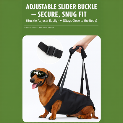LiftEase-Dachshund-Support-Harness.jpg