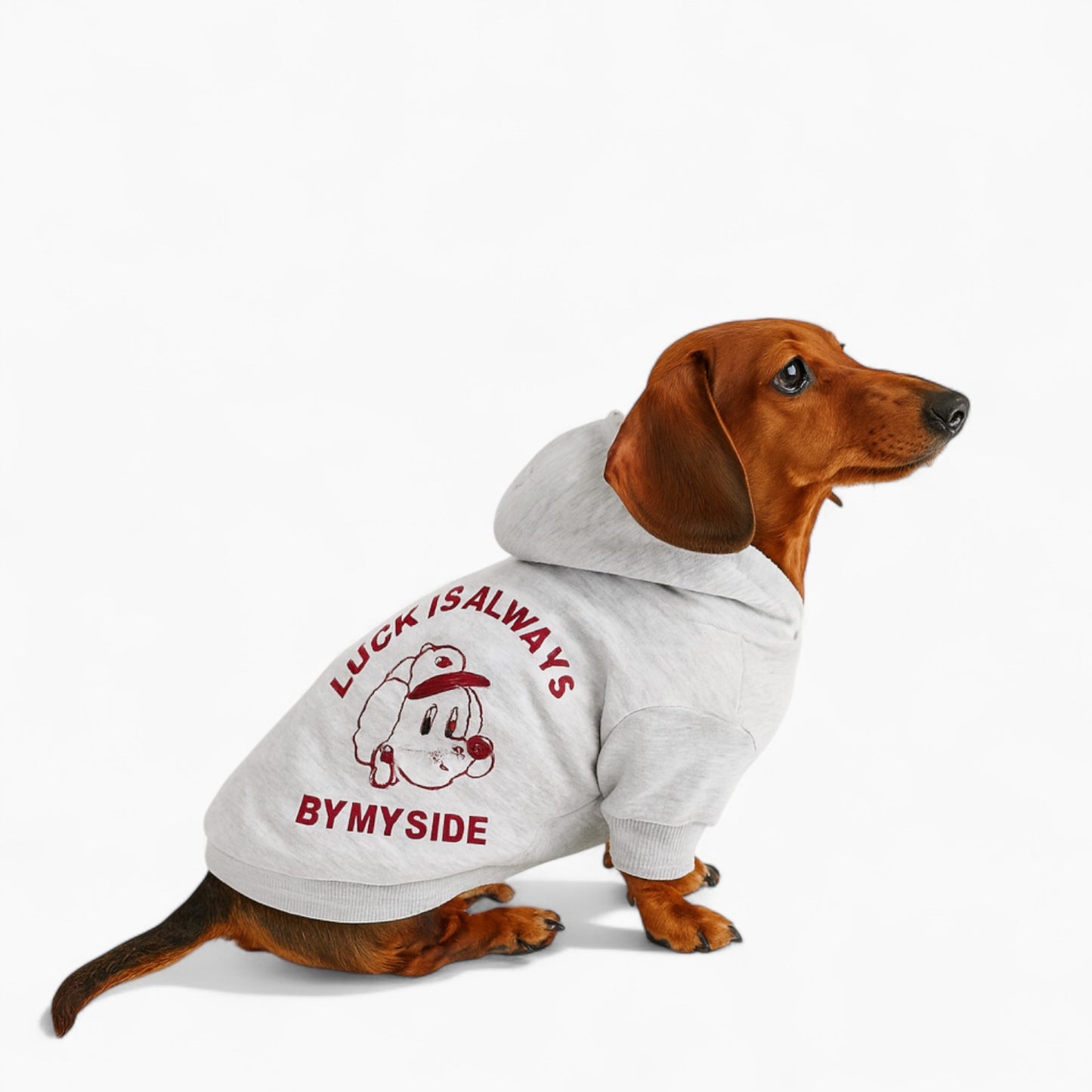 LuckPaw-Dachshund-Human-Matching-Hoodie.jpg
