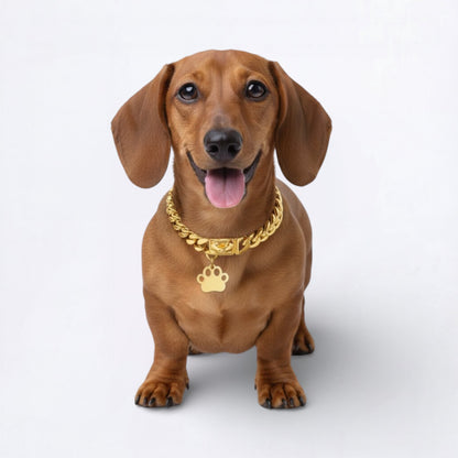 LuxePaw-Dachshund-Cuban-Collar.jpg