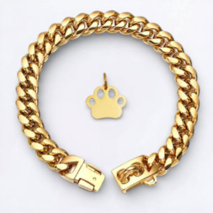 LuxePaw-Dachshund-Cuban-Collar.jpg